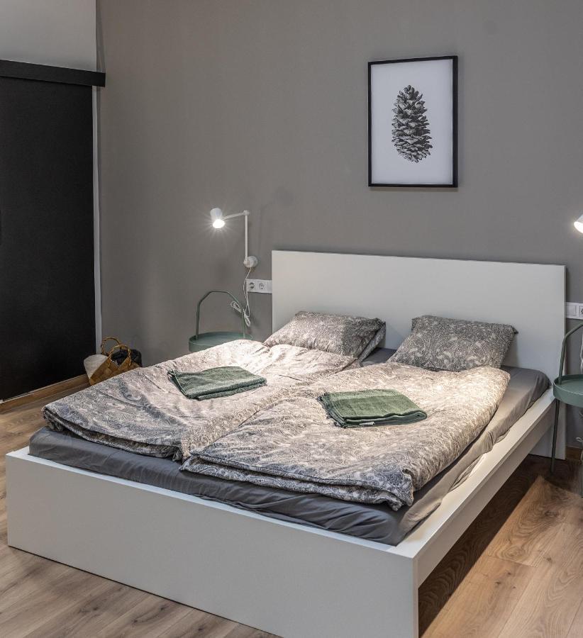 Design Studios Downtown Budapeşte Dış mekan fotoğraf